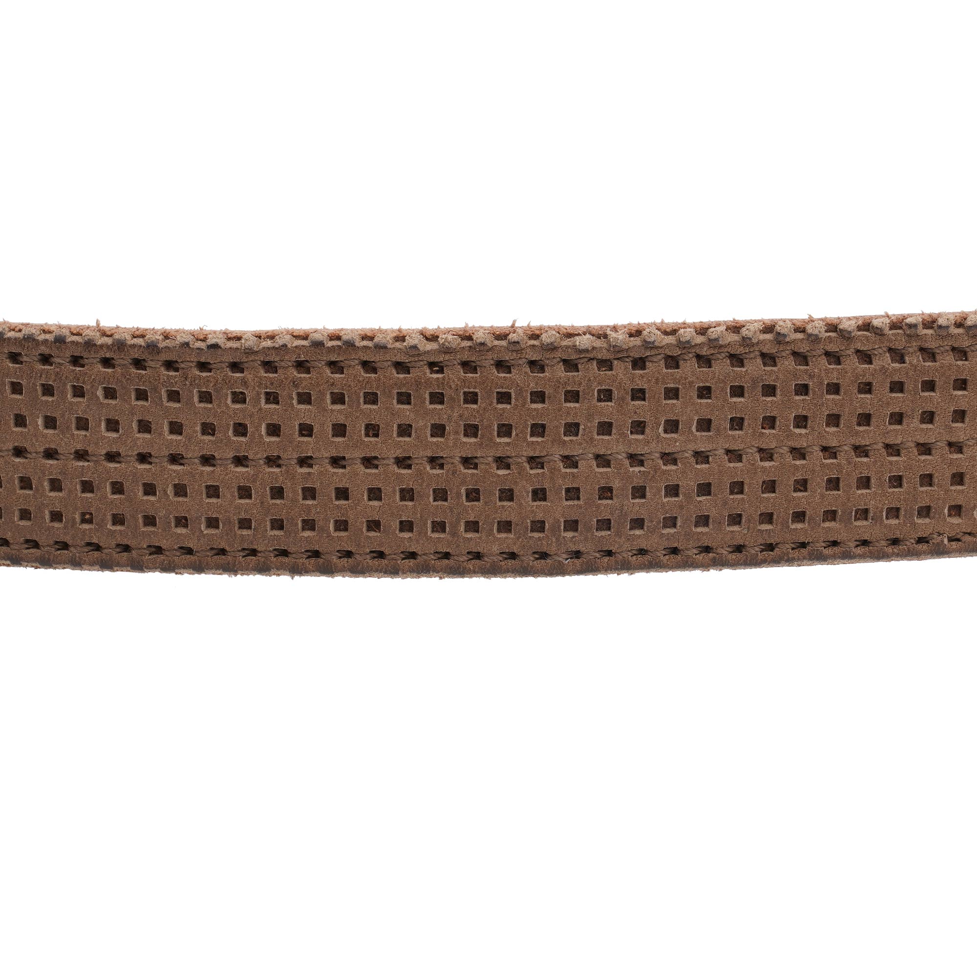 Perforiertes Leder Gürtel mit DG Logo Metall Krone Schnalle in Braun von DOLCE & GABBANA