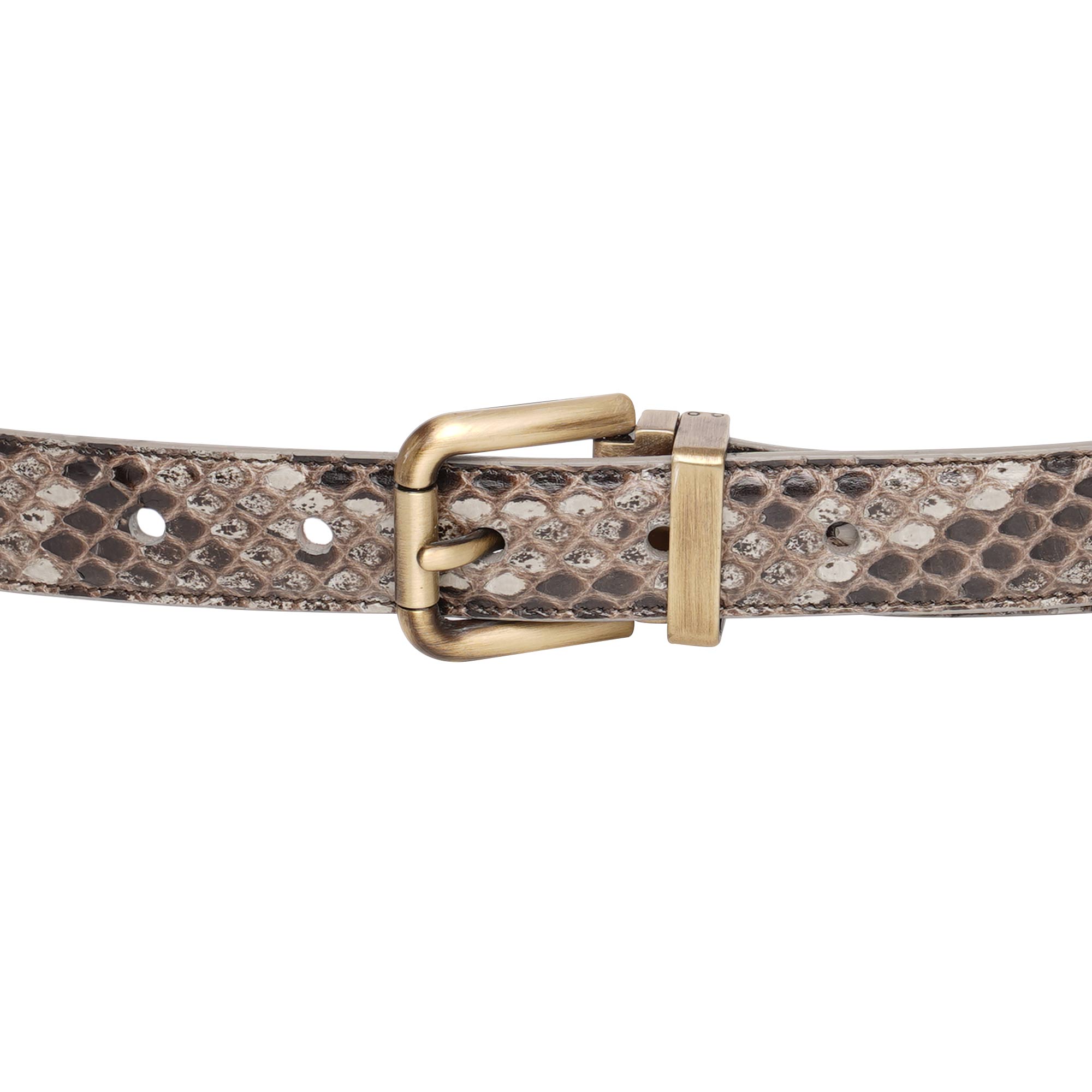 Gürtel aus Schlangenleder mit Metall Rollschnalle in Grau von DOLCE & GABBANA
