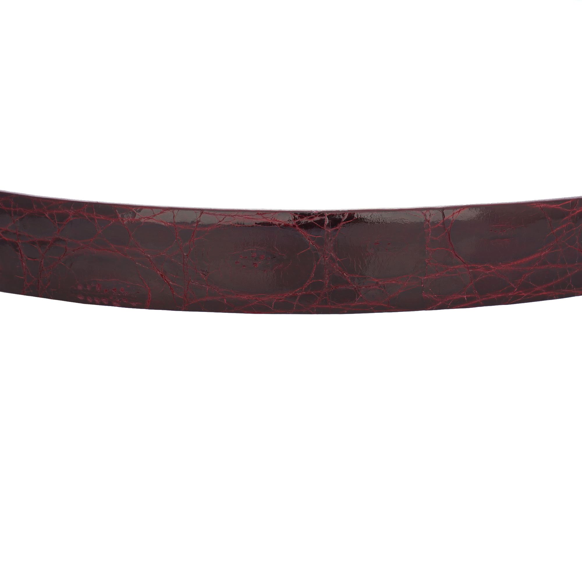 Gürtel aus Krokodilleder mit Metall Rollschnalle in Bordeaux Silber und Gold von DOLCE & GABBANA