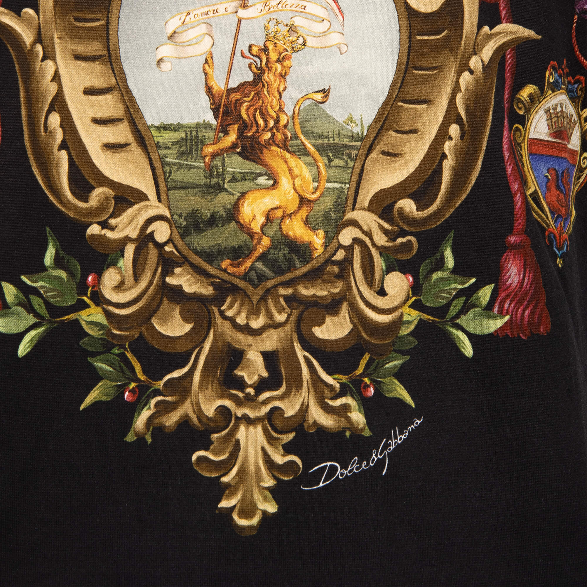 Baumwolle T-Shirt mit Royal Wappen Krone Löwe Print und gerippten Details in Schwarz von DOLCE & GABBANA