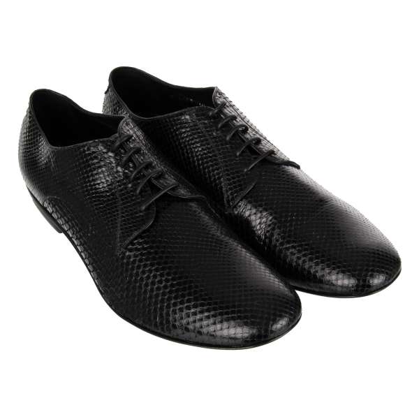 Snake skin derby shoes OTELLO with lace in black by DOLCE & GABBANA