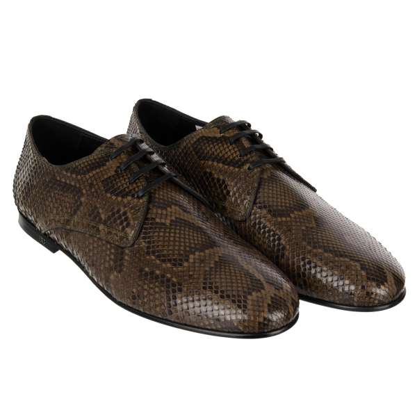 Snake skin derby shoes YOUNG POPE with lace in military green by DOLCE & GABBANA