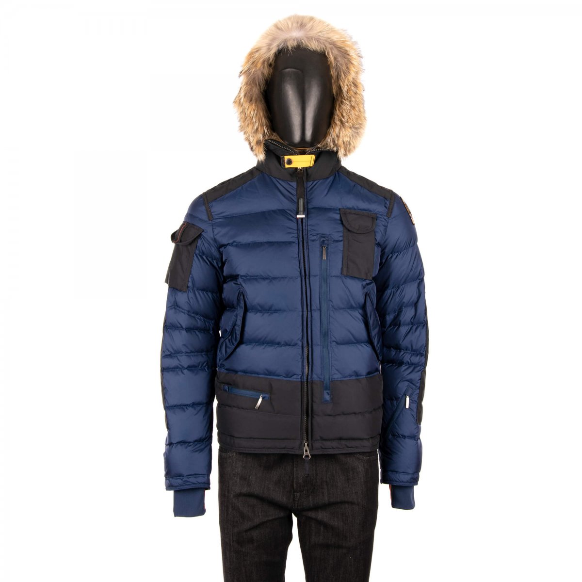 Parajumper ski master jacket online