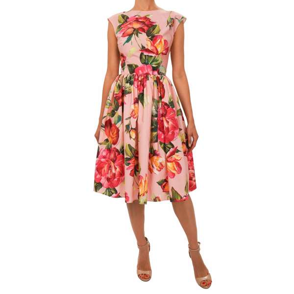 Kleid aus Baumwolle mit Rosen Blumen Print in Pink von DOLCE & GABBANA