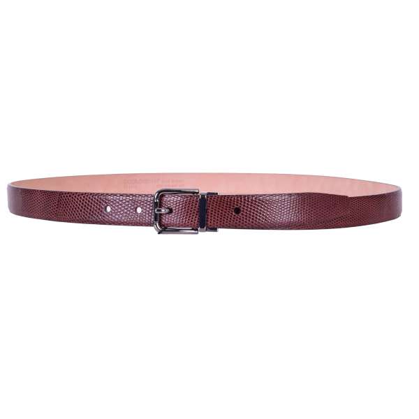 Lizard belt with removable roller buckle in brown by DOLCE & GABBANA Black Label