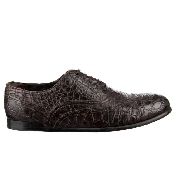 Very exclusive and rare formal Caiman leather derby shoes in brown by DOLCE & GABBANA