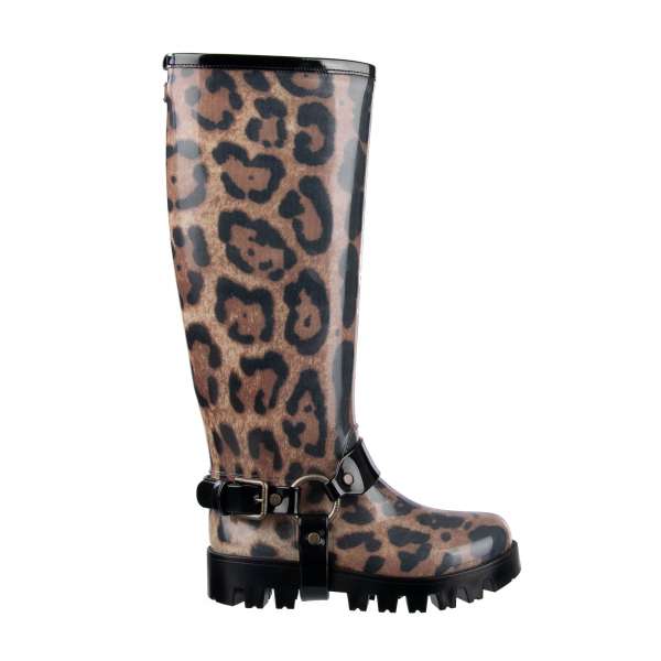 Flache Gummistiefel mit Schnalle und DG Logo-Plakette mit Leopardenprint von DOLCE & GABBANA Black Label