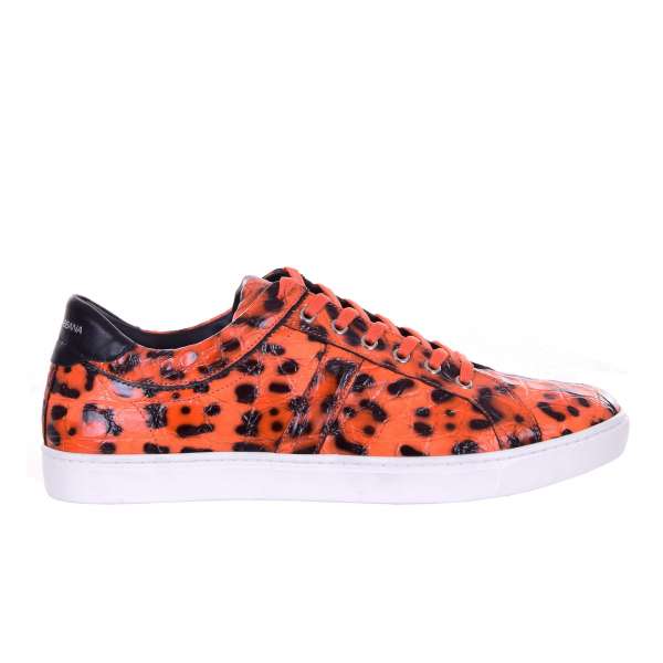 Crocodile Leather Sneaker LONDON with leopard print in orange and logo by DOLCE & GABBANA Black Label