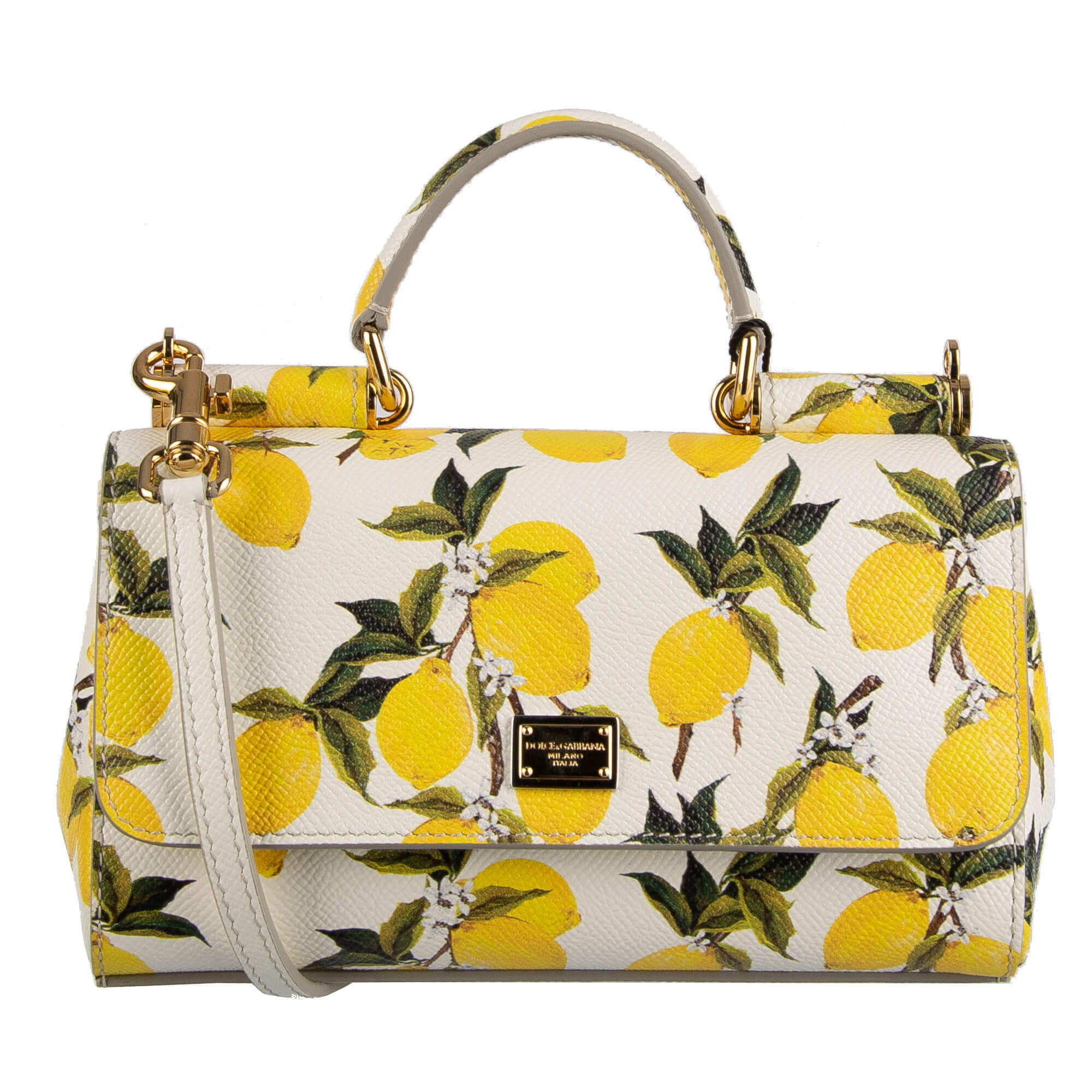 dolce and gabbana lemon bag