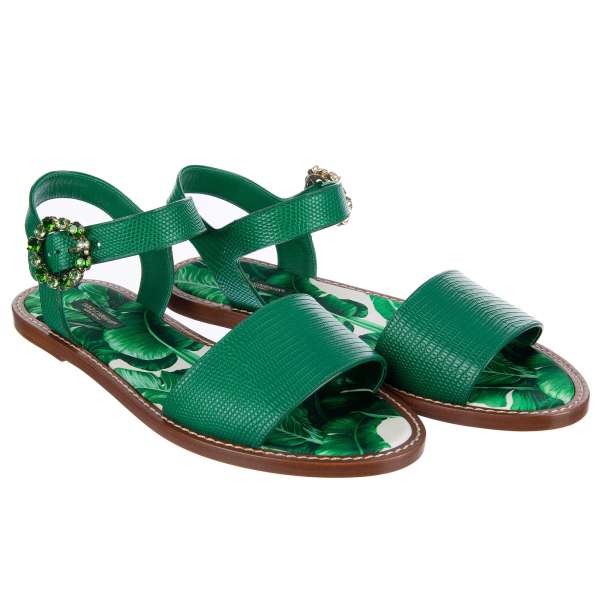 Flat lizard textured leather slide sandals PORTOFINO with crystals embellished buckle and banana leaves printed satin insole in green by DOLCE & GABBANA