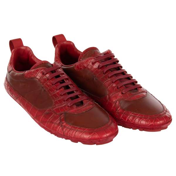 Low-Top Crocodile leather mix Sneaker KING DRIVER with Crown logo in red by DOLCE & GABBANA