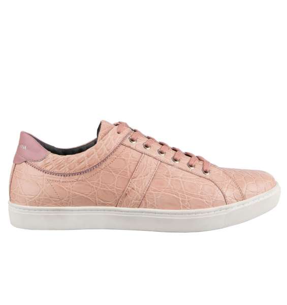 Crocodile Leather Sneaker LONDON in pink with logo print by DOLCE & GABBANA