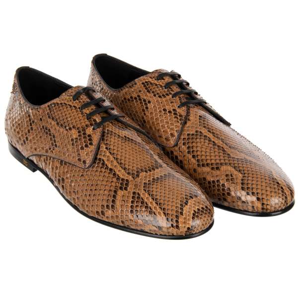 Snake skin derby shoes YOUNG POPE with lace in brown by DOLCE & GABBANA