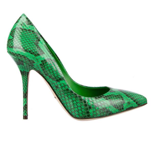 Pointed Classic Snake Leather Pumps BELLUCCI by DOLCE & GABBANA