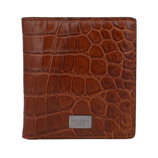 Crocodile leather cards wallet with DG metal logo plate in brown by DOLCE & GABBANA