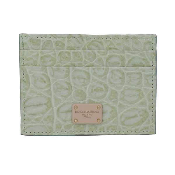Crocodile leather cards etui wallet with DG logo plate in light green by DOLCE & GABBANA