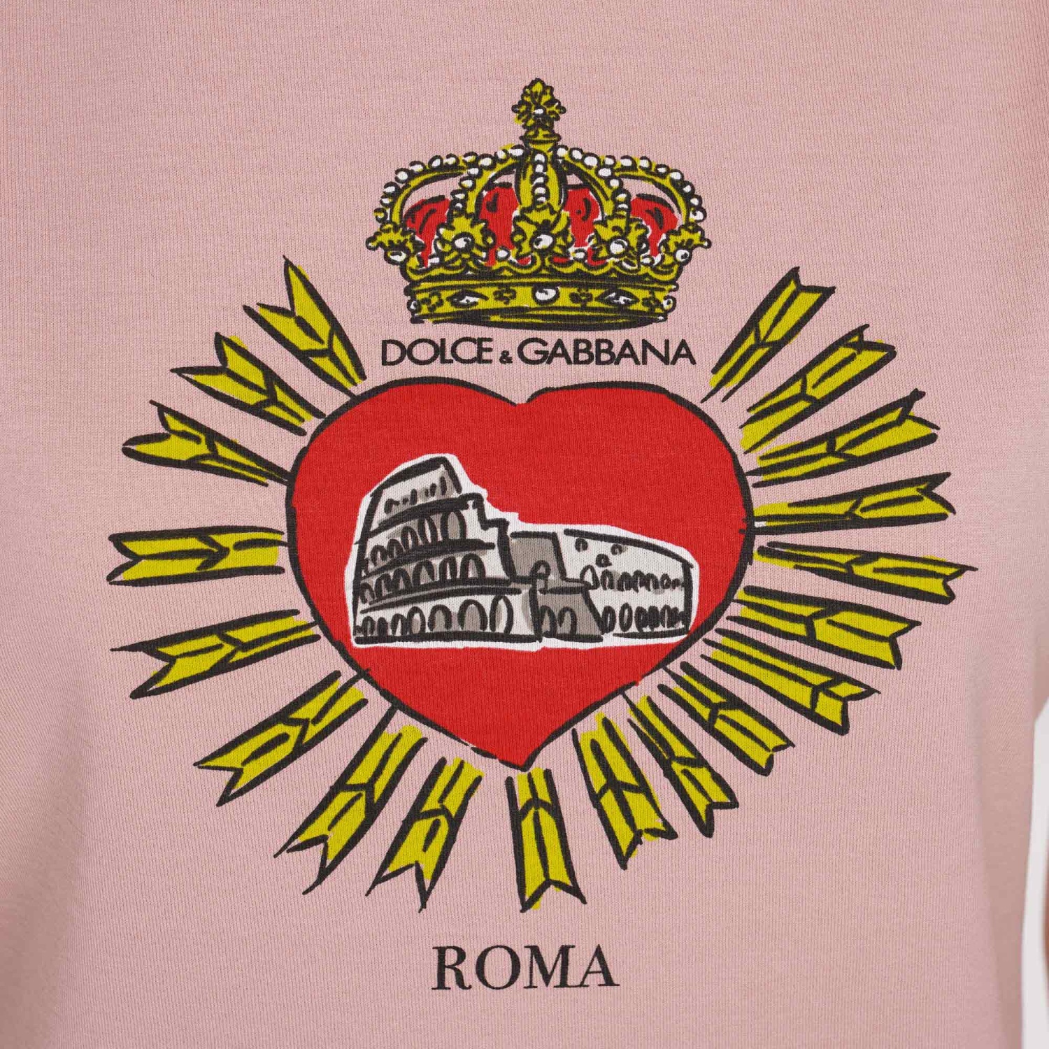 DOLCE & GABBANA ピンク ドラゴン長袖 Tシャツ D&G DOLCE&GABBANA レディース長袖Tシャツ ピンク｜Yahoo!フリマ