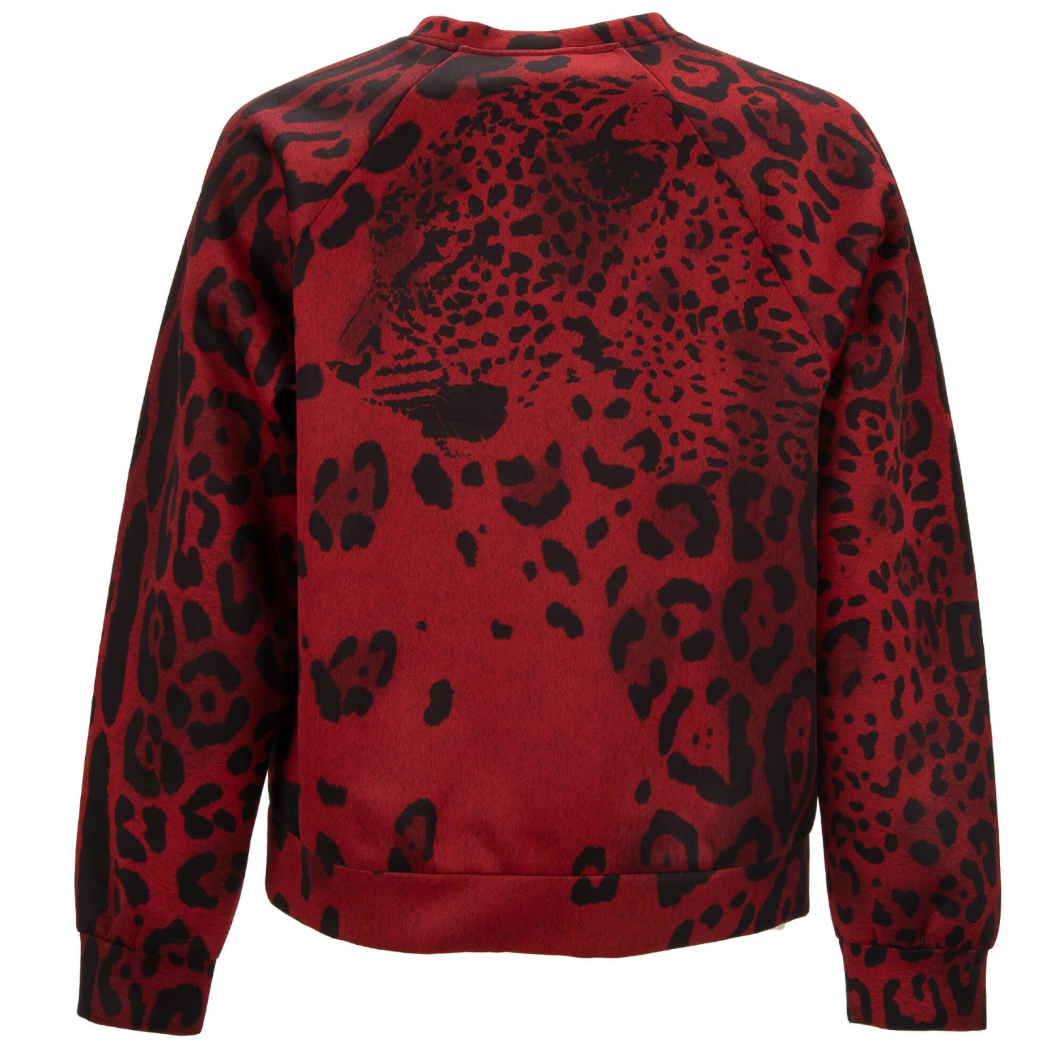 Dolce & Gabbana トレーナー Sサイズ フロッキープリント Dolce & Gabbana トレーナー Sサイズ フロッキープリント