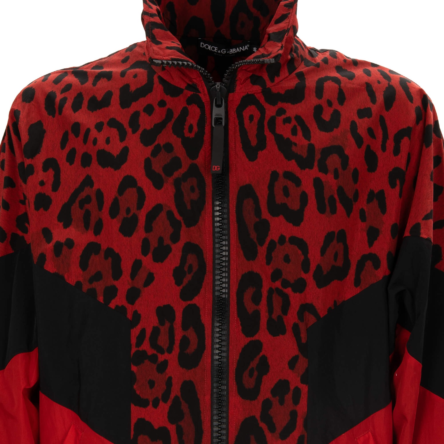 DOLCE-GABBANADG-Logo-Leopard-